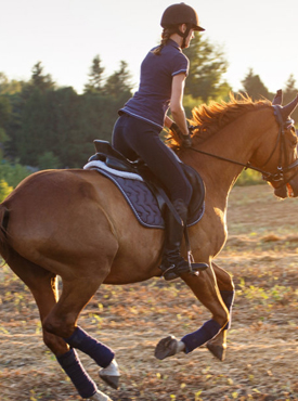 HORSE RIDING WEARS